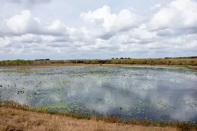 2689 County Road 419 Road, Taylor, TX 76574 - Photo 11