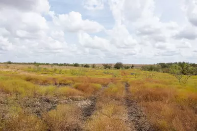 2689 County Road 419 Road, Taylor, TX 76574 - Photo 21