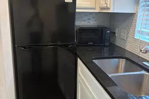 1119 Gunter St, Austin, TX 78702 - Photo 3