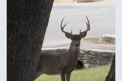 20903 Oak Dale Drive, Lago Vista, TX 78645 - Photo 17