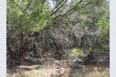 20903 Oak Dale Drive, Lago Vista, TX 78645 - Photo 15