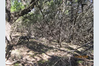 20903 Oak Dale Drive, Lago Vista, TX 78645 - Photo 13