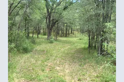 317 Pleasant Grove Loop, Elgin, TX 78621 - Photo 7