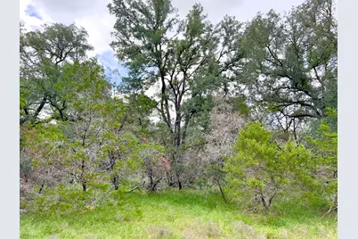 Lot 43-A Narrows Road #1, Blanco, TX 78606 - Photo 9