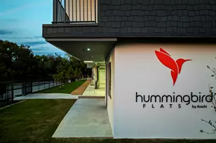 5515 Humming Bird Ln, Austin, TX 78745 - Photo 11