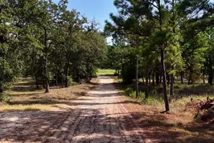 218 Little Ranch Rd, Red Rock, TX 78662 - Photo 11