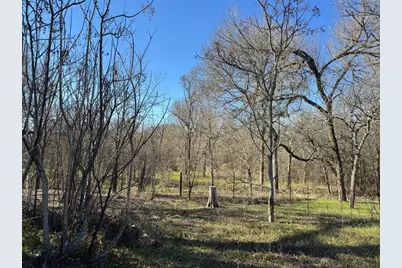 Tbd Tbd Drive, Cedar Creek, TX 78612 - Photo 5