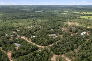 163 Northside Ln, Cedar Creek, TX 78612 - Photo 11