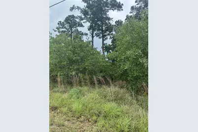 Lot 1612 Kaanapali Lane, Bastrop, TX 78602 - Photo 3