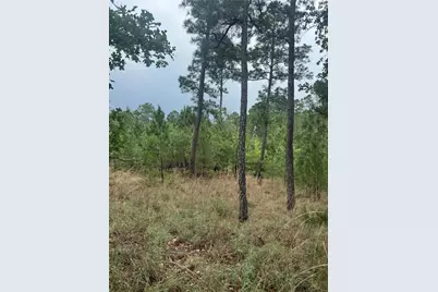 Lot 1612 Kaanapali Lane, Bastrop, TX 78602 - Photo 5