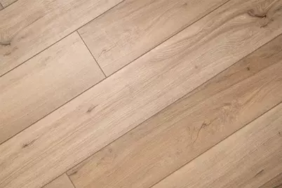 104 Palo Brea Loop, Hutto, TX 78634 - Photo 5