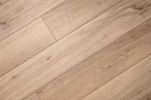 104 Palo Brea Loop, Hutto, TX 78634 - Photo 5