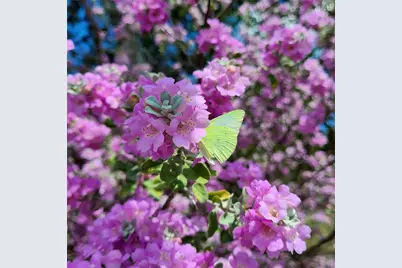 684 Stoneleigh Road, Center Point, TX 78010 - Photo 35