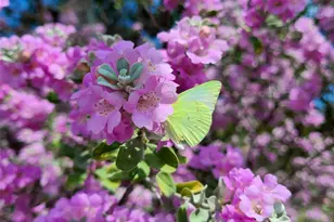 684 Stoneleigh Rd, Center Point, TX 78010 - Photo 35