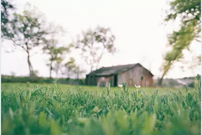 684 Stoneleigh Road, Center Point, TX 78010 - Photo 33