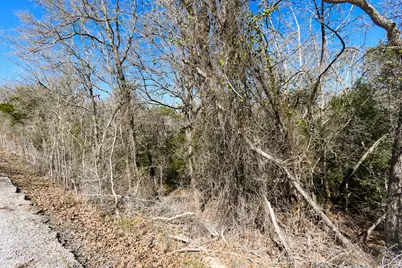 236 Iva Lane, Bastrop, TX 78602 - Photo 3