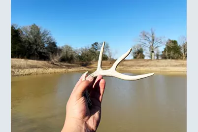 0000 Fm 2336, McDade, TX 78650 - Photo 27