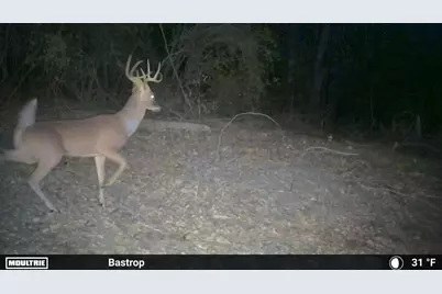 0000 Fm 2336, McDade, TX 78650 - Photo 31