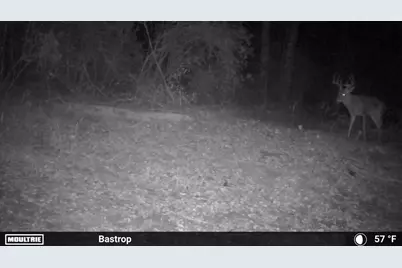 0000 Fm 2336, McDade, TX 78650 - Photo 33