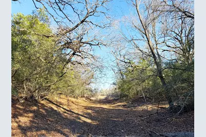 0000 Fm 2336, McDade, TX 78650 - Photo 15