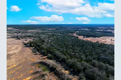 0000 Fm 2336, McDade, TX 78650 - Photo 7