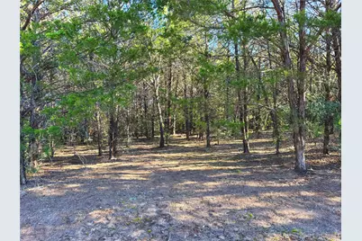 0000 Fm 2336, McDade, TX 78650 - Photo 9