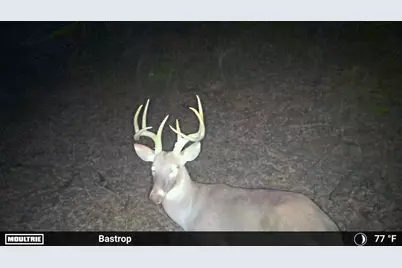 0000 Fm 2336, McDade, TX 78650 - Photo 29