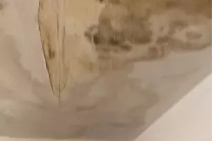 4807 Hilldale Dr, Austin, TX 78723 - Photo 13