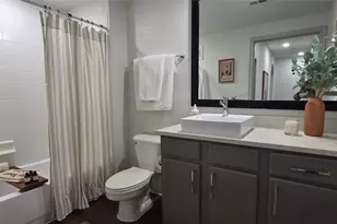 1007 S Congress Ave, Austin, TX 78704 - Photo 23