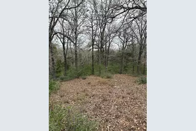 000 Wailupe Circle, Bastrop, TX 78602 - Photo 3