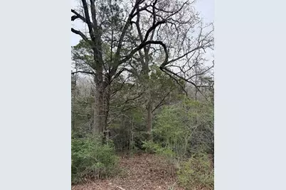 000 Wailupe Circle, Bastrop, TX 78602 - Photo 7