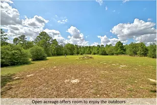 170 Woodland Ct, Bastrop, TX 78602 - Photo 37