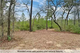 170 Woodland Ct, Bastrop, TX 78602 - Photo 39