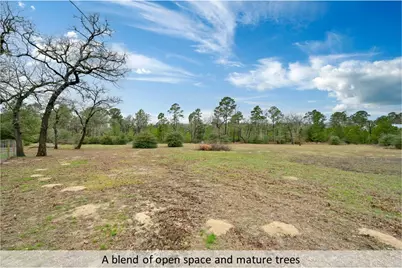 170 Woodland Court, Bastrop, TX 78602 - Photo 37