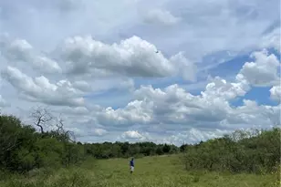 9025 Burklund Farms Rd, Del Valle, TX 78617 - Photo 9