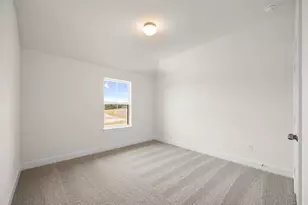 509 Snakeroot Trl, Georgetown, TX 78633 - Photo 21