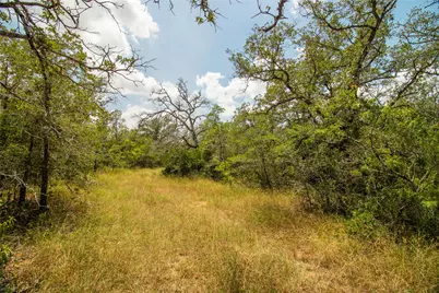 9057 Sycamore Shade Lane, Kingsbury, TX 78155 - Photo 7