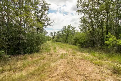 9057 Sycamore Shade Lane, Kingsbury, TX 78155 - Photo 11