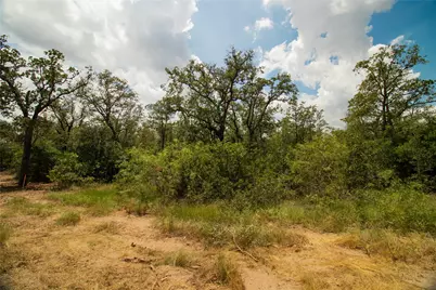 9057 Sycamore Shade Lane, Kingsbury, TX 78155 - Photo 5