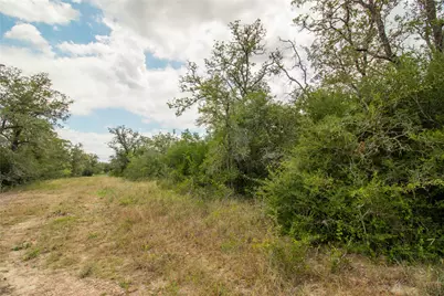 9057 Sycamore Shade Lane, Kingsbury, TX 78155 - Photo 15