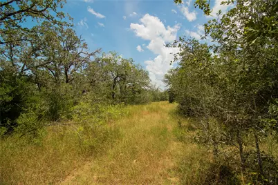 9057 Sycamore Shade Lane, Kingsbury, TX 78155 - Photo 19