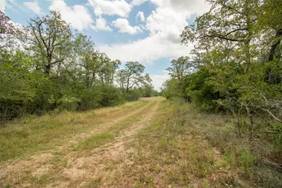 9057 Sycamore Shade Lane, Kingsbury, TX 78155 - Photo 17