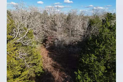 Lot 11 Antioch Road, Paige, TX 78659 - Photo 1
