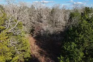 Lot 11 Antioch Rd, Paige, TX 78659 - Photo 1