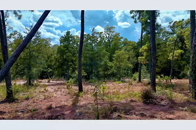 Tbd Modock Drive, Bastrop, TX 78602 - Photo 29