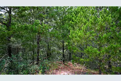 Tbd Modock Drive, Bastrop, TX 78602 - Photo 17