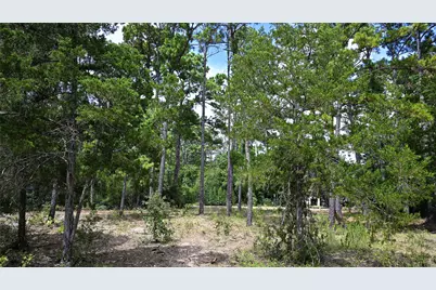 Tbd Modock Drive, Bastrop, TX 78602 - Photo 31