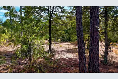 Tbd Modock Drive, Bastrop, TX 78602 - Photo 27