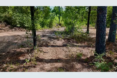 Tbd Modock Drive, Bastrop, TX 78602 - Photo 25