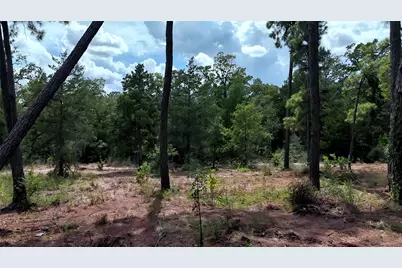 Tbd Modock Drive, Bastrop, TX 78602 - Photo 25